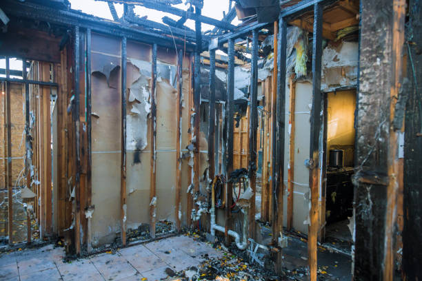 Professional Fire Damage Removal technician working in Wyndmoor, PA